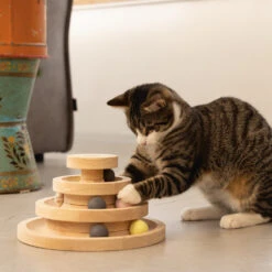 Designed By Lotte Speeltoren Mia -Katten Benodigdheden designed by lotte speeltoren mia 193652 1000 none