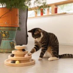 Designed By Lotte Speeltoren Mia -Katten Benodigdheden designed by lotte speeltoren mia 193658 1000 none