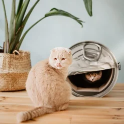 District 70 Can -Katten Benodigdheden district 70 can 133825 0500 none