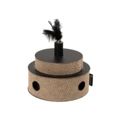 District 70 Fiesta 10 District 70 Fiesta -Katten Benodigdheden district 70 fiesta 191015 0500 none