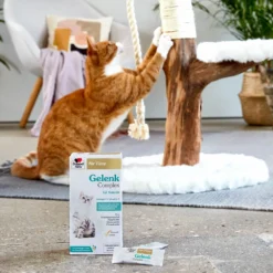 Doppelherz Gelenk Complex Voor Katten -Katten Benodigdheden doppelherz gelenk complex fuer katzen 195053 1000 none