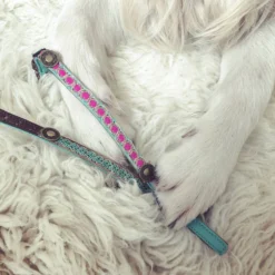 DWAM Kattenhalsband Tommy -Katten Benodigdheden dwam kattenhalsband tommy 166399 1000 none