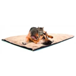 Duvo+ Flectabed Q -Katten Benodigdheden e731b79e8da682839922aea4f9011a7dae868814c04ea8dc9e67144e2f8ec15d 3