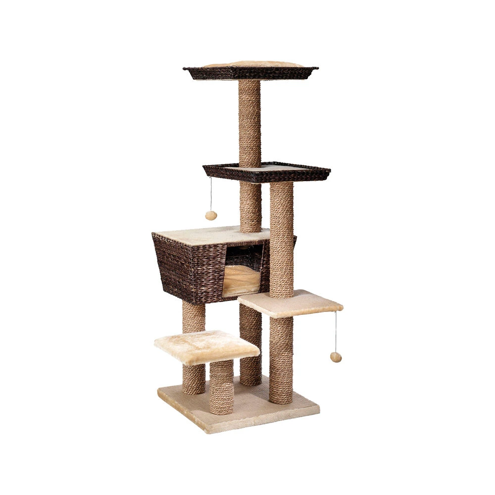 Ebi Krabpaal Trend Tree Curaçao 2 Ebi Krabpaal Trend Tree Curaçao - Afbeelding 2