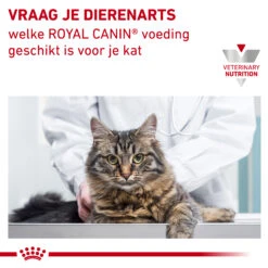 Royal Canin Urinary S/O Kat 19 Royal Canin Urinary S/O Kat -Katten Benodigdheden eogY4Y9VYmtQMb0RC7upcWhheC1Gn4 metaVVJJTkFSWS1TTy1MT0FGLTcuanBn