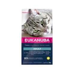 Eukanuba Cat Top Condition 1+ -Katten Benodigdheden eukanuba cat top condition 1 197393 2000 none