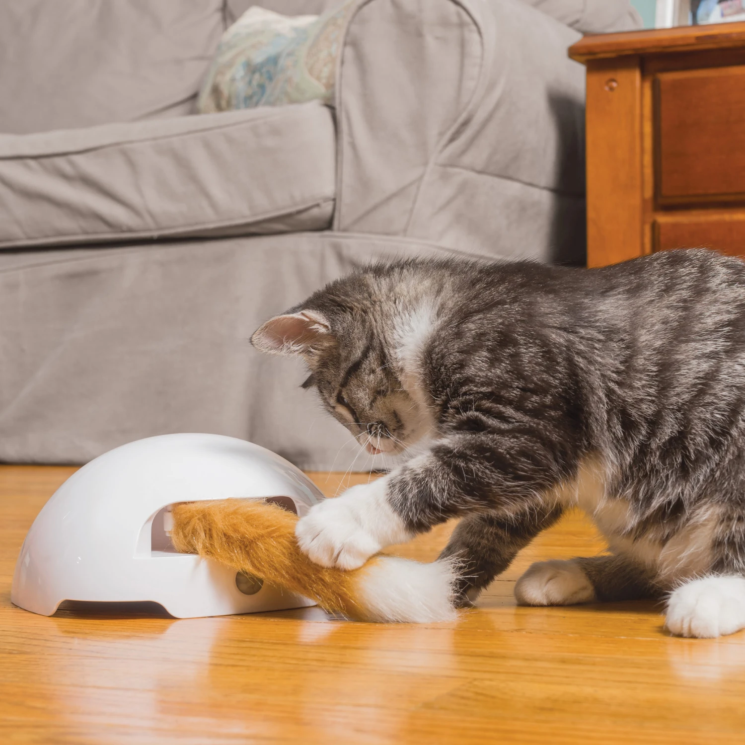 FroliCat Fox 2 FroliCat Fox - Afbeelding 2