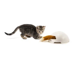 FroliCat Fox 9 FroliCat Fox -Katten Benodigdheden frolicat fox 136600 2000 none