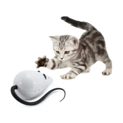 FroliCat RoloRat 9 FroliCat RoloRat -Katten Benodigdheden frolicat rolorat 136585 2000 none