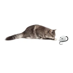 FroliCat RoloRat 10 FroliCat RoloRat -Katten Benodigdheden frolicat rolorat 136588 2000 none