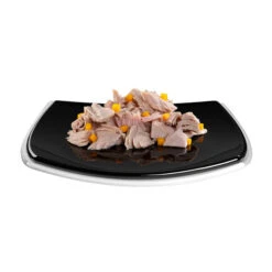 GimCat ShinyCat Filet -Katten Benodigdheden gimcat shinycat filet 158201 2000 none