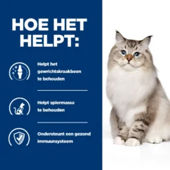 Hill's J/d Joint Care -Prescription Diet - Feline -Katten Benodigdheden hills jd joint care prescription diet feline 218227 2000 none