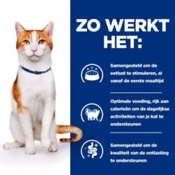 Hill's ON-Care - Prescription Diet - Feline -Katten Benodigdheden hills on care prescription diet feline 224078 0500 none
