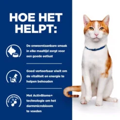 Hill's ON-Care - Prescription Diet - Feline -Katten Benodigdheden hills on care prescription diet feline 224079 0500 none