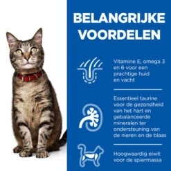 Hill's Science Plan - Feline Adult - Chicken/Poultry - Maaltijdzakje -Katten Benodigdheden hills science plan feline adult chickenpoultry 218421 0500 none
