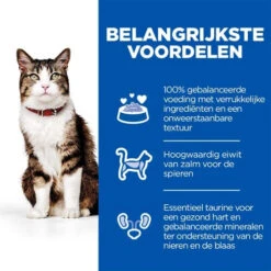 Hill's Science Plan - Feline Culinary Creations - Zalm -Katten Benodigdheden hills science plan feline culinary creations zalm 221402 0500 none