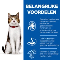 Hill's Science Plan - Feline Mature Adult - Tuna 12 Hill's Science Plan - Feline Mature Adult - Tuna -Katten Benodigdheden hills science plan feline mature adult tuna 218304 0500 none
