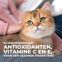 Hill's Science Plan - Feline Senior Vitality -Katten Benodigdheden hills science plan feline senior vitality 218664 0500 none 1