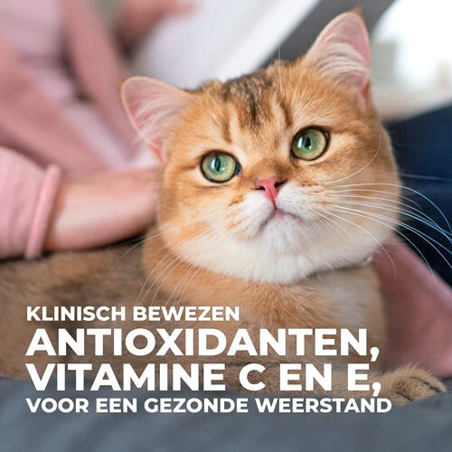 Hill's Science Plan - Feline Senior Vitality - Maaltijdzakje 5 Hill's Science Plan - Feline Senior Vitality - Maaltijdzakje - Afbeelding 5