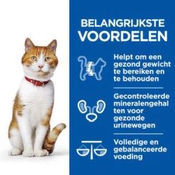Hill's Science Plan Feline - Healthy Cuisine - Adult -Katten Benodigdheden hills science plan feline healthy cuisine adult 201677 0500 none