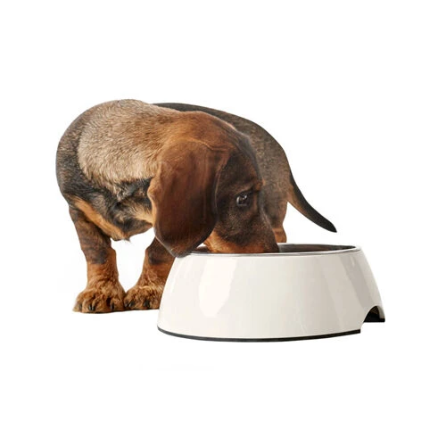 Hunter Melamine Voer- En Drinkbak - Wit 7 Hunter Melamine Voer- En Drinkbak - Wit - Afbeelding 7