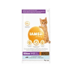 IAMS For Vitality Kitten Ocean Fish -Katten Benodigdheden iams for vitality kitten ocean fish 217685 1500 none