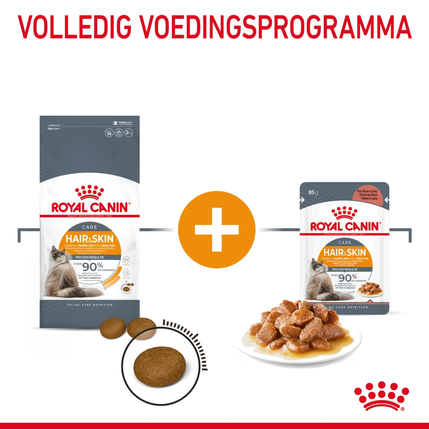 Royal Canin Hair & Skin In Gravy - Kattenvoer 6 Royal Canin Hair & Skin In Gravy - Kattenvoer - Afbeelding 6