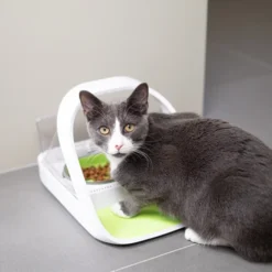 Surefeed Connect Microchip Voerautomaat -Katten Benodigdheden kTbQA19EI5nYoPBP8ZuLwwZntvmS3C metaU3VyZWZlZWQtOC5qcGc