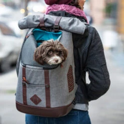 Kurgo K9 Rugzak -Katten Benodigdheden kurgo k9 rugzak 208103 0500 none