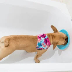 LickiMat Splash 5 LickiMat Splash -Katten Benodigdheden lickimat splash 164212 2000 none