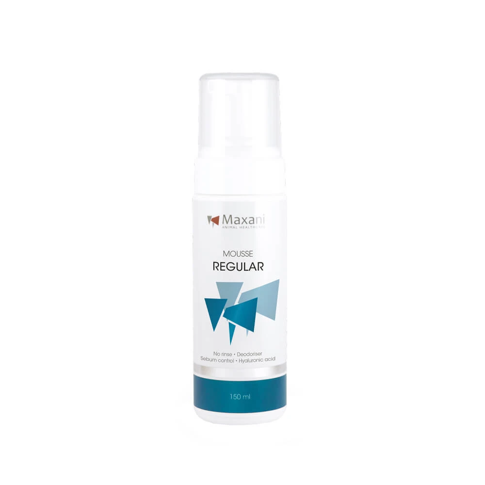 Maxani Regular Mousse 1 Maxani Regular Mousse