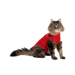 Medical Pet Shirt Kat 14 Medical Pet Shirt Kat -Katten Benodigdheden medical pet shirt kat 167407 1000 none