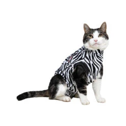 Medical Pet Shirt Kat Zebra -Katten Benodigdheden medical pet shirt kat zebra print 167365 1000 none