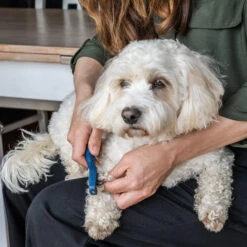 Mikki Doodle De-Matter -Katten Benodigdheden mikki doodle de matter 194483 2000 none