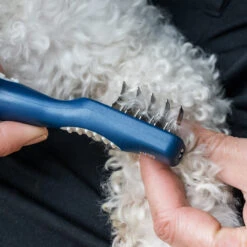 Mikki Doodle De-Matter -Katten Benodigdheden mikki doodle de matter 194486 2000 none