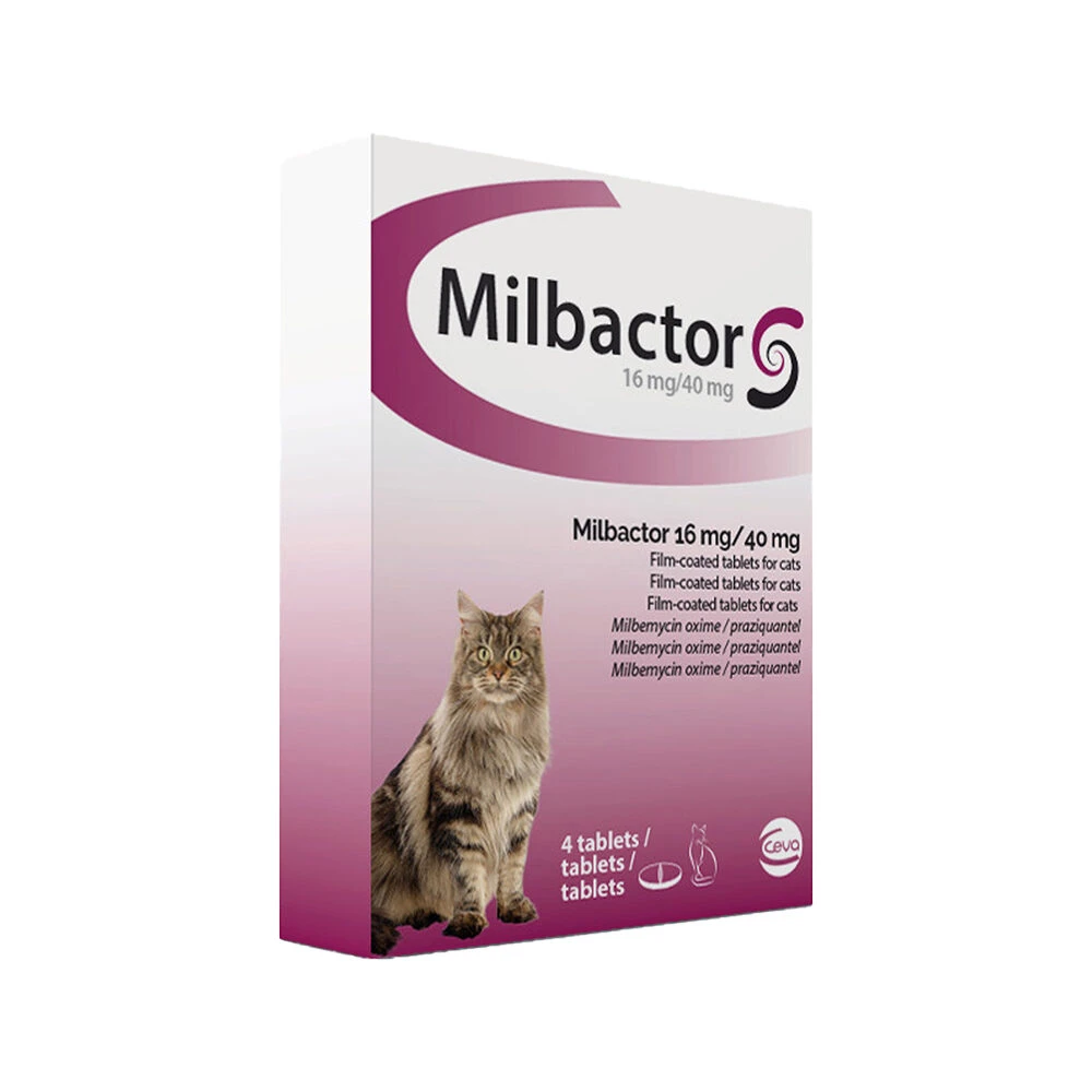 Milbactor Kat 1 Milbactor Kat