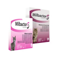 Milbactor Kat 7 Milbactor Kat -Katten Benodigdheden milbactor kat 176962 1000 none