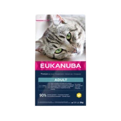 Eukanuba Cat Top Condition 1+ -Katten Benodigdheden mxPbXE9HwvP8jQFCgicCeTyMF8cj2K metaZXVrYW51YmFfY2F0X3RvcF9jb25kaXRpb25fMV8xOTczOTNfMDUwMF9ub25lLmpwZw