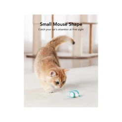 Petlibro Pixie Mouse 7 Petlibro Pixie Mouse -Katten Benodigdheden petlibro pixie mouse 221373 2000 none