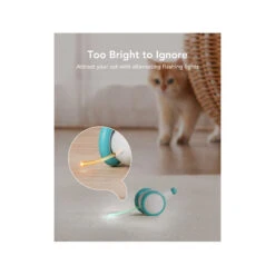 Petlibro Pixie Mouse 8 Petlibro Pixie Mouse -Katten Benodigdheden petlibro pixie mouse 221374 2000 none