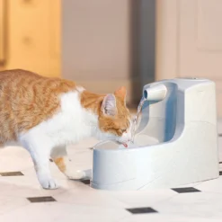 Petsafe Drinkwell Mini Drinkfontein - 1.2 L -Katten Benodigdheden petsafe drinkwell mini drinkfontein 12 l 208064 1000 none