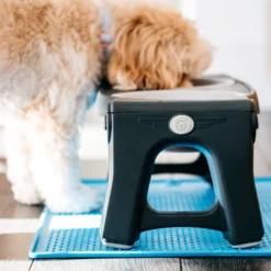 Popware Pet Bowl Grippmat 7 Popware Pet Bowl Grippmat -Katten Benodigdheden popware pet bowl grippmat 164719 2000 none