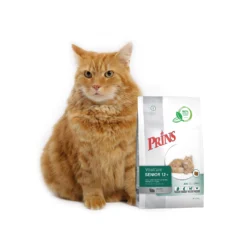 Prins VitalCare Senior 12+ -Katten Benodigdheden prins vitalcare senior 12 172420 1500 none