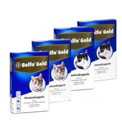 Bolfo Gold Kat -Katten Benodigdheden product bolfo gold kat none 4 1467098417 70443