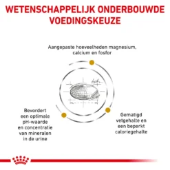 Royal Canin Urinary S/O Moderate Calorie Kat - Maaltijdzakje -Katten Benodigdheden qVH1njwjhLGzL1viSK00YmqUXoHbEN metacm95YWxfY2FuaW5fdXJpbmFyeV9zb19tb2RlcmF0ZV9jYWxvcmllX2thdF8xNTM3OTZfMTAwMF9ub25lLmpwZw