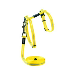 Rogz Beltz - AlleyCat Tuig & Lijn -Katten Benodigdheden rogz beltz alleycat tuig lijn 110560 0500 none