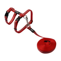 Rogz Beltz - AlleyCat Tuig & Lijn -Katten Benodigdheden rogz beltz alleycat tuig lijn 110566 0500 none