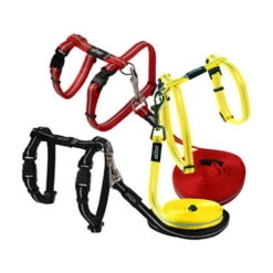 Rogz Beltz - AlleyCat Tuig & Lijn -Katten Benodigdheden rogz beltz alleycat tuig lijn 119968 0500 none 2