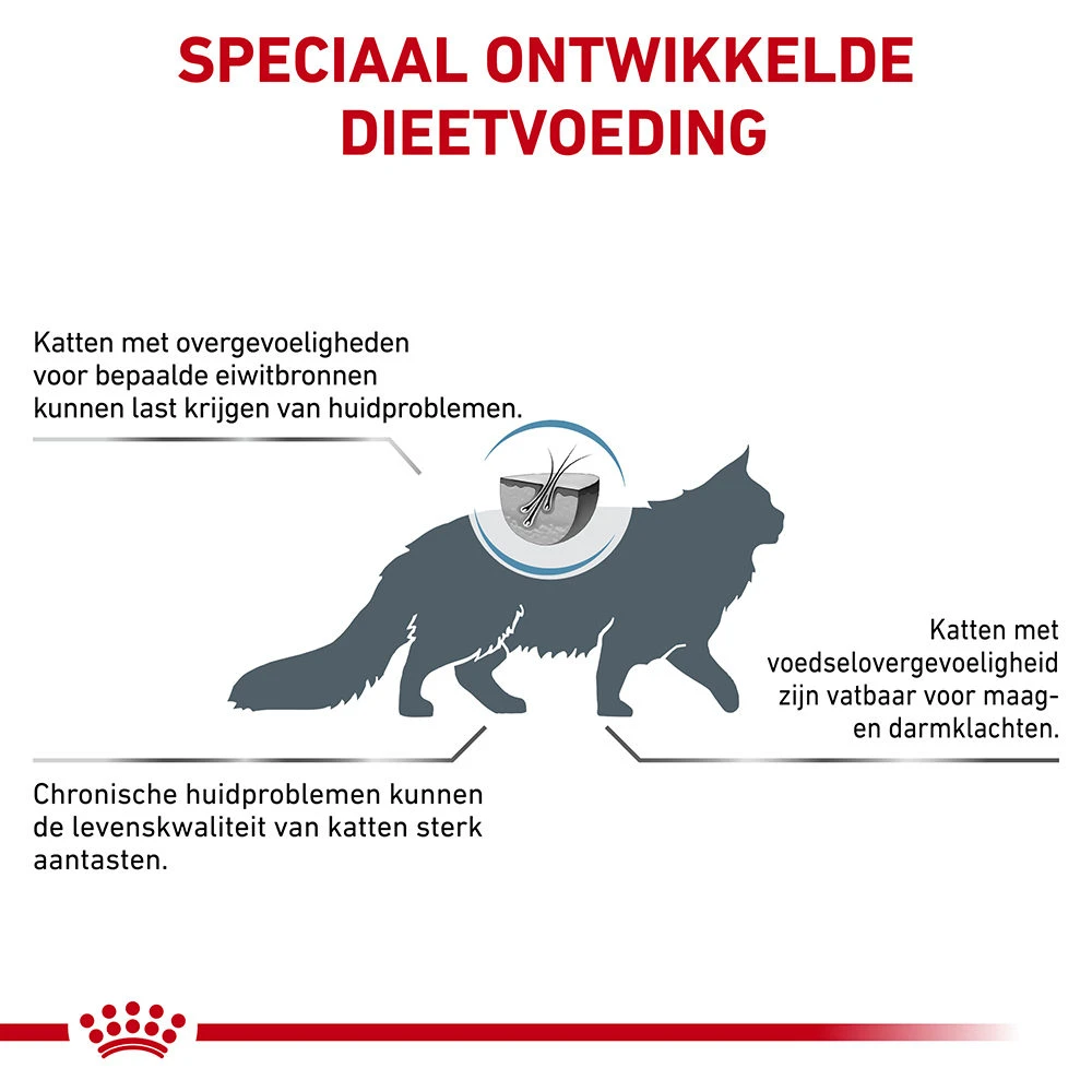 Royal Canin Anallergenic Kat 3 Royal Canin Anallergenic Kat - Afbeelding 3