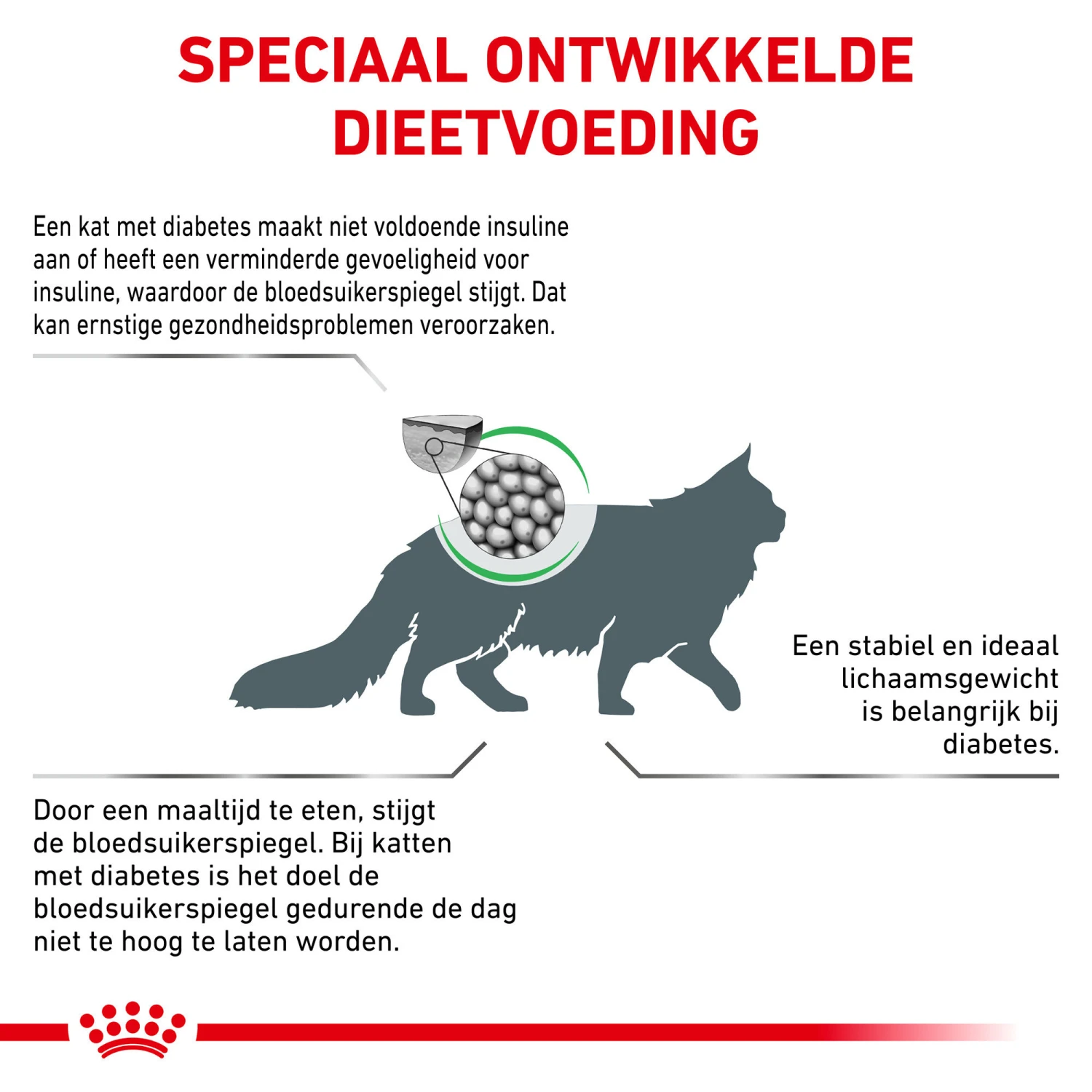 Royal Canin Diabetic Kat - Maaltijdzakje 5 Royal Canin Diabetic Kat - Maaltijdzakje - Afbeelding 5